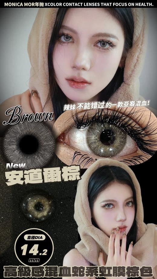 MONICA MOR 美瞳年抛 安道尔棕 直径14.2mm着色13.4mm 商品图1