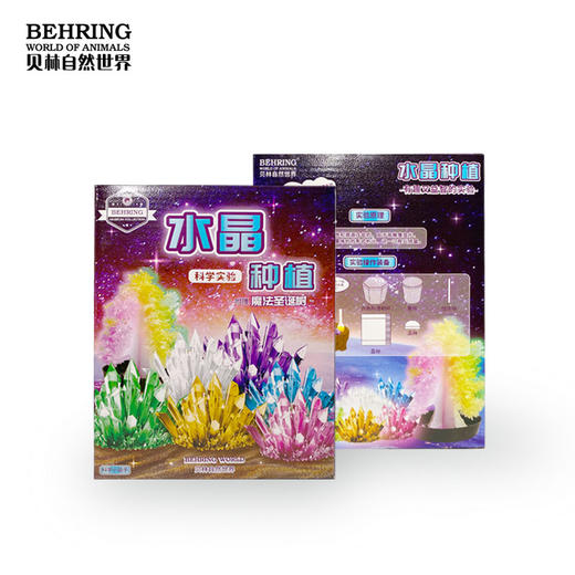 贝林自然世界水晶种植DIY动手玩具 商品图2