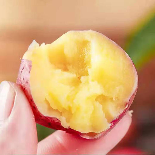 【云南高原红皮土豆】红皮黄心 粉面口感 富含花青素 商品图0