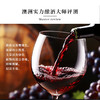 澳大利亚进口袋鼠公主西拉干红葡萄酒5L 商品缩略图2