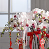 春节年宵花蝴蝶兰盆栽009款 商品缩略图3