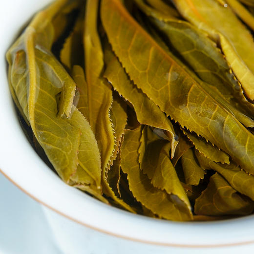 2023年头春【茶王曼秀】易武斗茶大会茶王奖得主曼秀 普洱茶生茶357g/饼 5饼/提 20饼/件 拍5发6拍20发25 商品图7