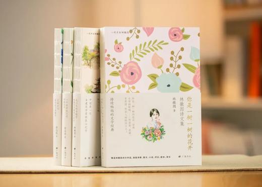 4.5折包邮《林徽因集 》4册｜还原真实的一代才女 她的人生远比绯间精彩 商品图0