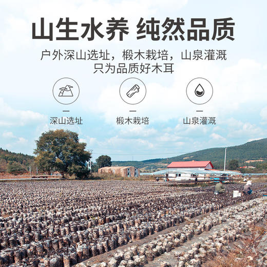 方家铺子 秋木耳500g/袋装 商品图8