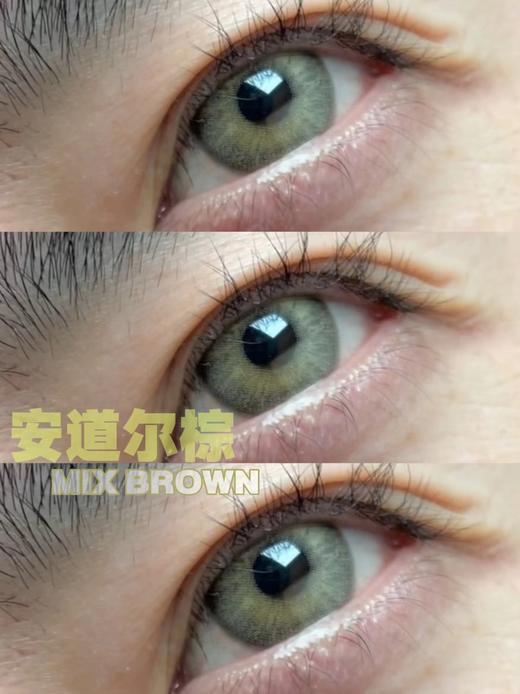 MONICA MOR 美瞳年抛 安道尔棕 直径14.2mm着色13.4mm 商品图7