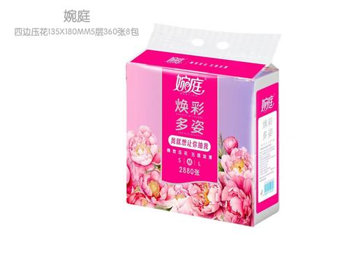 婉庭焕采多姿抽纸360张(WS5360M08)8包/提 商品图1