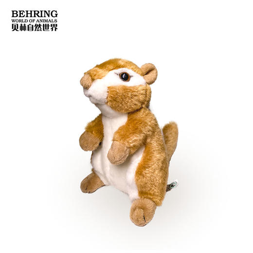 BehringWorld贝林商店毛绒花栗鼠儿童礼品可爱玩具生日礼物7英寸 商品图2