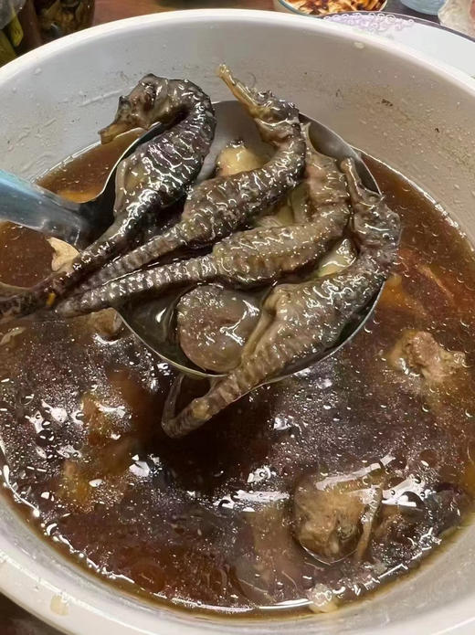 海马增高汤 具体看圈～ 商品图7