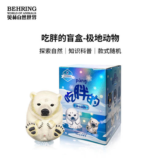 BehringWorld贝林自然世界 吃胖的系列-极地篇 盲盒 商品图0