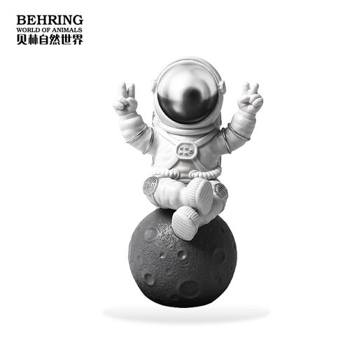 BehringWorld贝林自然世界宇航员盲盒 商品图2
