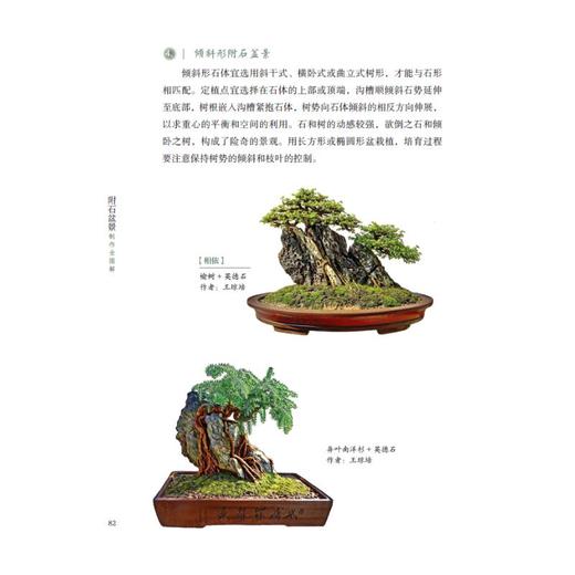 附石盆景制作全图解 商品图3