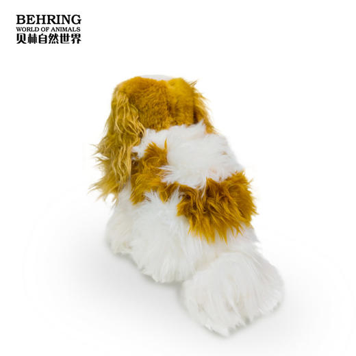 BehringWorld贝林商店毛绒20厘米查理士王小猎犬可爱玩具生日礼物 商品图3