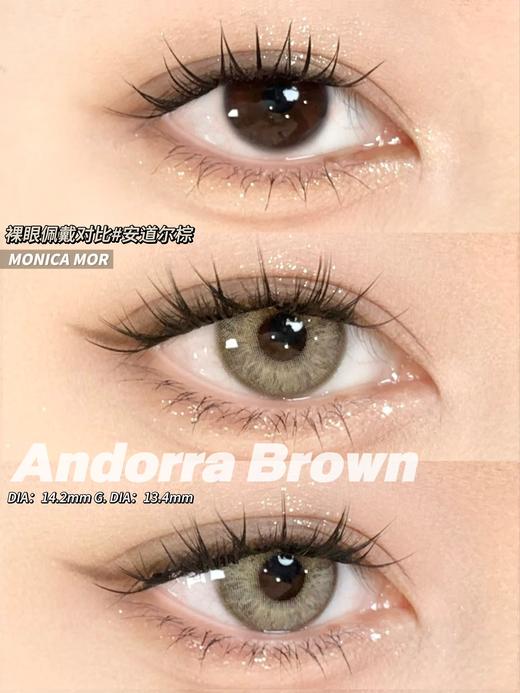 MONICA MOR 美瞳年抛 安道尔棕 直径14.2mm着色13.4mm 商品图6