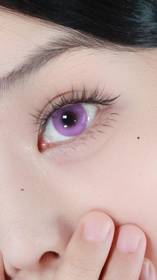 propcon 日抛 天座蝶 直径14.5mm着色13.7mm 商品图3