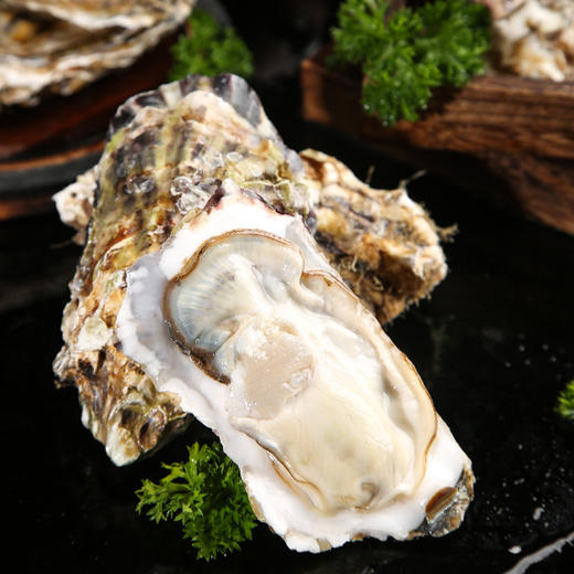 【蚝丫丫】威海直发乳山生蚝 鲜活4斤 商品图2