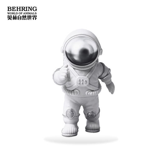 BehringWorld贝林自然世界宇航员盲盒 商品图3