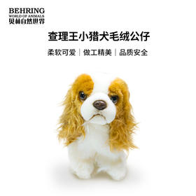 BehringWorld贝林商店毛绒20厘米查理士王小猎犬可爱玩具生日礼物