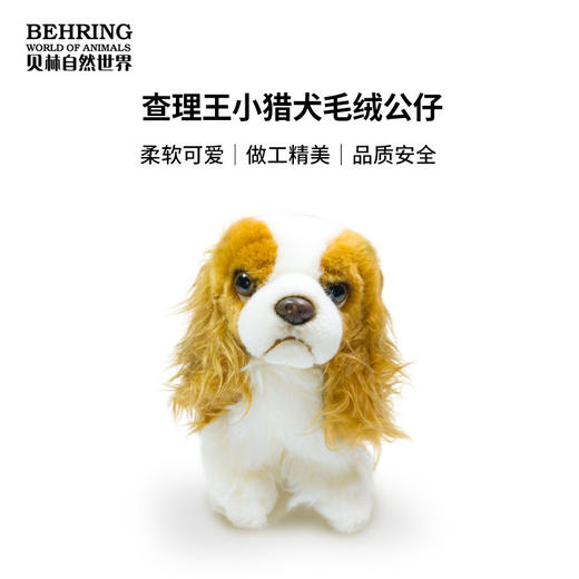 BehringWorld贝林商店毛绒20厘米查理士王小猎犬可爱玩具生日礼物 商品图0