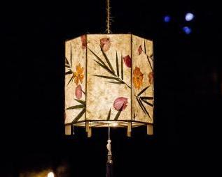 非遗花草灯沙龙手作diy 商品图2