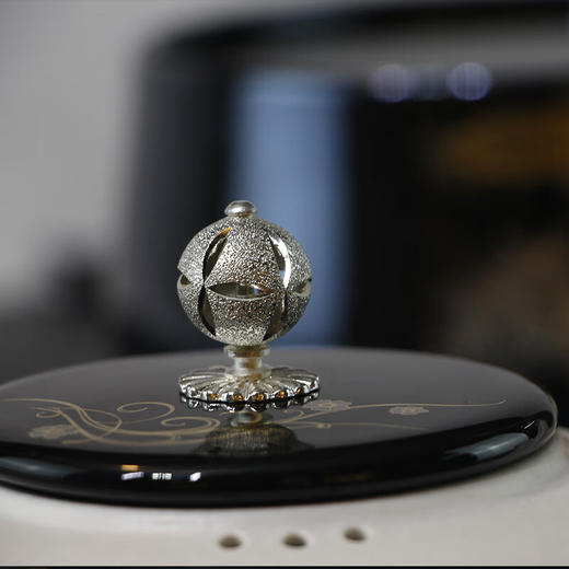 龙隐斋 龙隐斋 电陶炉专用烧水壶 可泡茶煮茶 柿形壶（白） 商品图5