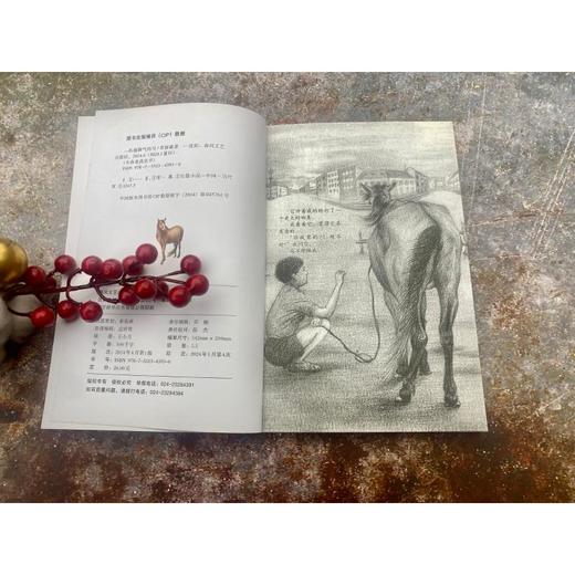 一匹倔脾气的马/常新港动物励志小说 商品图1