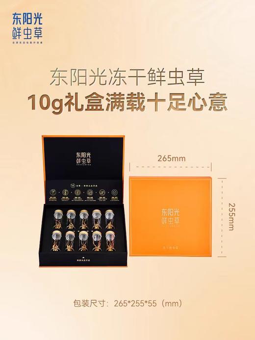 【超市】东阳光冻干鲜虫草10g 商品图1