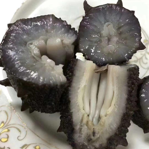 自营（海中源）-《国标纯淡干十年野生辽参》 送高端礼品盒 顺丰发货 商品图2