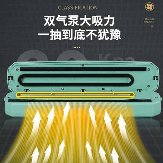 家用食品全自动真空机封口机密封机厨房真空保鲜机干湿果肉包装机 商品图2