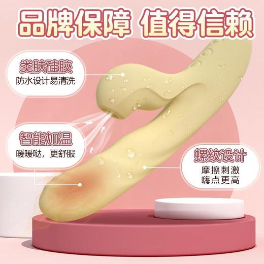 
『视频展示』司沃康塞尔达远程APP 商品图2