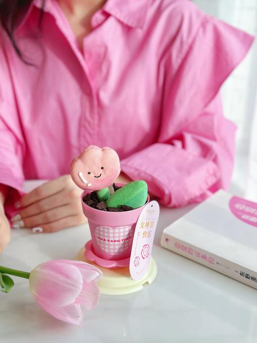 惊喜fafa · 马卡龙盆栽蛋糕 商品图0