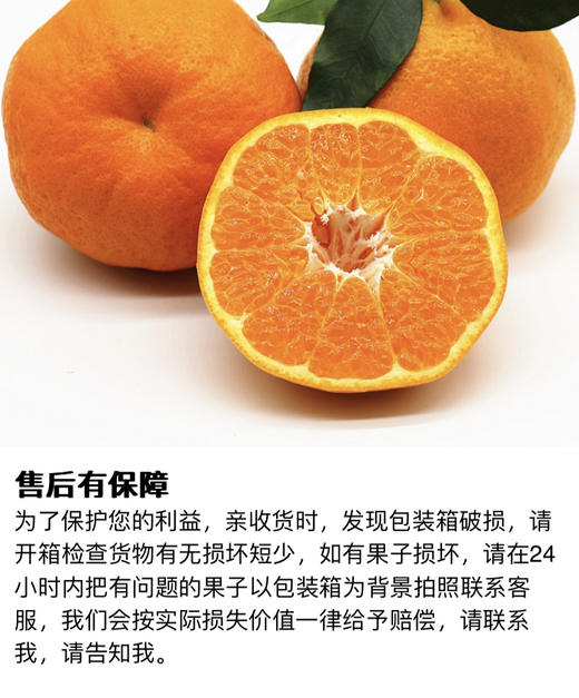 正宗四川春见耙耙柑粑粑柑8斤装 商品图11