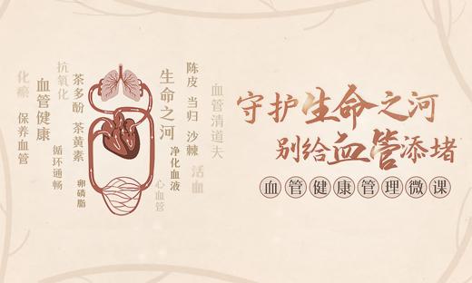 守护生命之河 别给血管添堵 商品图0