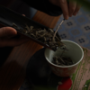 【步花间】2014年荒野白牡丹 商品缩略图5