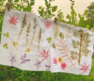 非遗植物拓染 商品图0