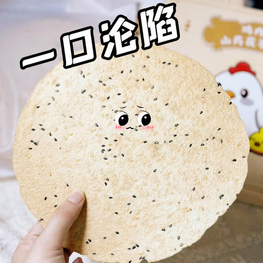 鸡内金山药茯苓焦饼 商品图8