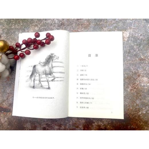 一匹倔脾气的马/常新港动物励志小说 商品图4