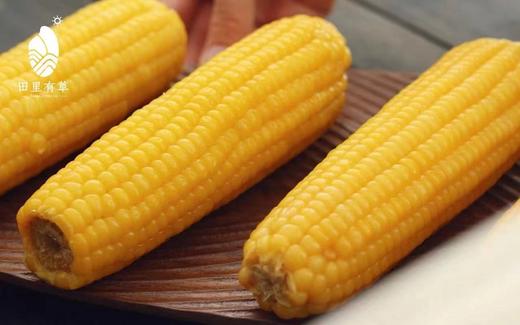 #非转基因急速锁鲜玉米棒，＃微波炉5分钟即可特别方便，来自肥沃黑土地，甜糯，吃到停不下来，爱到不想结束。 商品图3