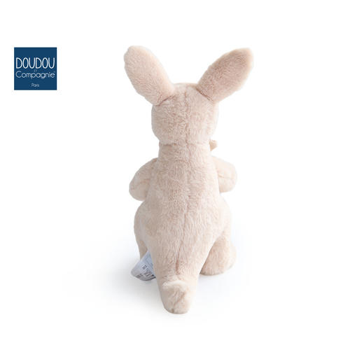 DOUDOU 袋鼠-30cmDOUCHO3059玩偶 商品图4