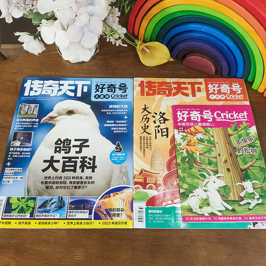 《好奇号》2024年1月起订，共36册｜科学·技术·自然·历史·文化，给孩子一整年的全通识启蒙 商品图1