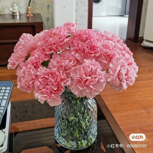 康乃馨10支 商品图1