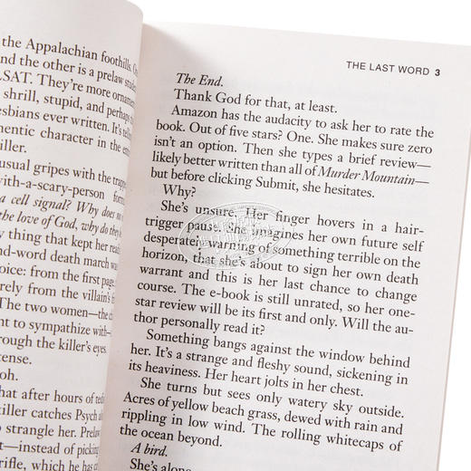 预售 【中商原版】末后的话 The Last Word 英文原版 Taylor Adams 悬疑惊悚 悬疑与推理小说 奇幻恐怖小说 流行小说 商品图3