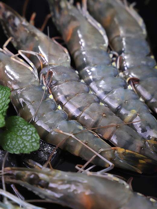 原切牛尾1斤+原切牛腩1斤+黑虎虾400g组合装 商品图4