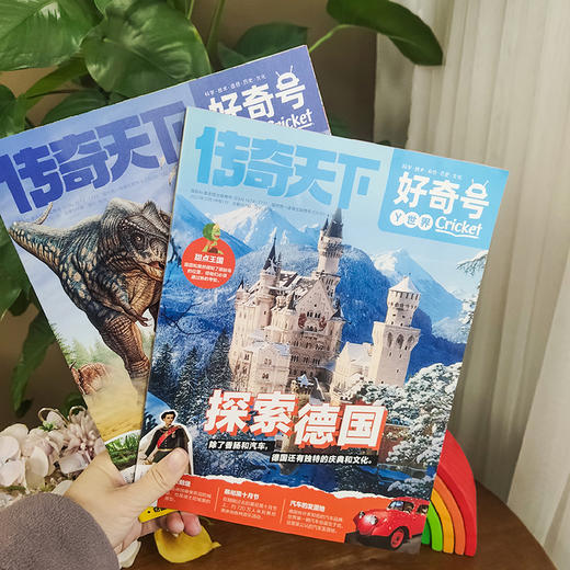 《好奇号》2024年1月起订，共36册｜科学·技术·自然·历史·文化，给孩子一整年的全通识启蒙 商品图2