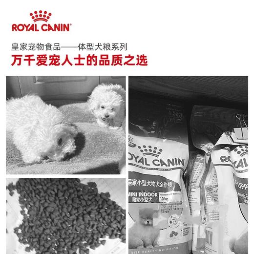 皇家居家小型犬幼犬粮PR27易消化全价室内狗主粮1.5kg 商品图4