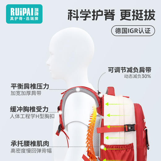 【开学季】新款减负护脊大容量书包  儿童小学初中书包男女童英伦风背包 商品图4