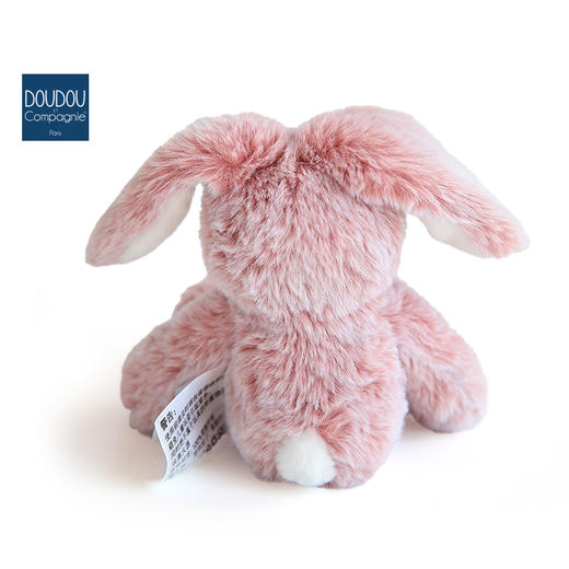 DOUDOU 小兔-25cmDOUCHO3007玩偶 商品图5