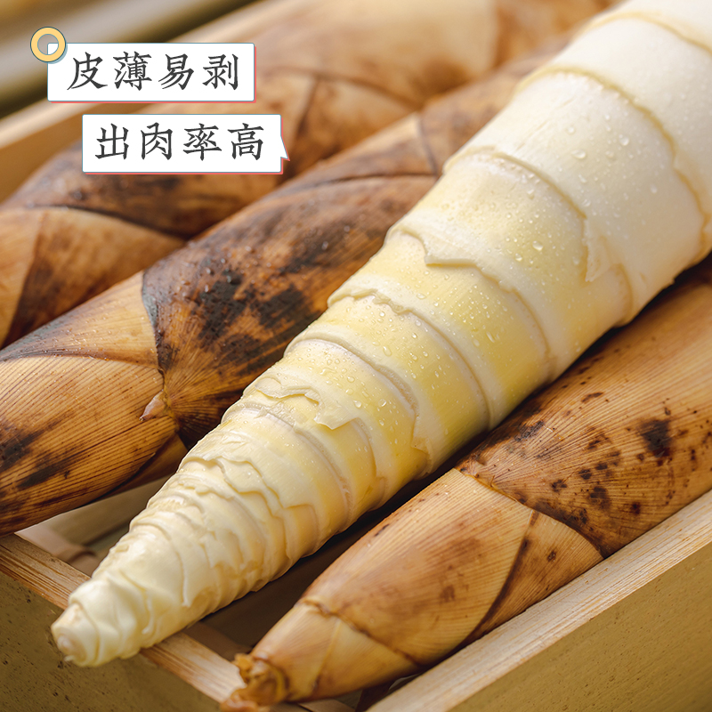 临安天目山  春笋  多规格任选