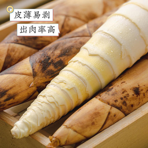 临安天目山  春笋  多规格任选 商品图0