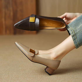 【预售5天】法式复古尖头小皮鞋，一脚蹬中跟粗跟乐福鞋单鞋DTN-A1061-5