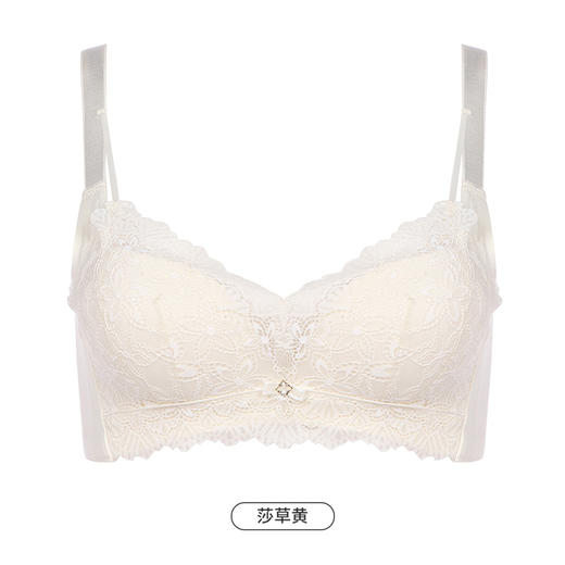 都市丽人舒软挺塑柔型杯轻塑塑身内衣女蕾丝AB杯适穿3/4杯A加加厚B中厚文胸无钢圈三排扣LJ44B1 商品图10
